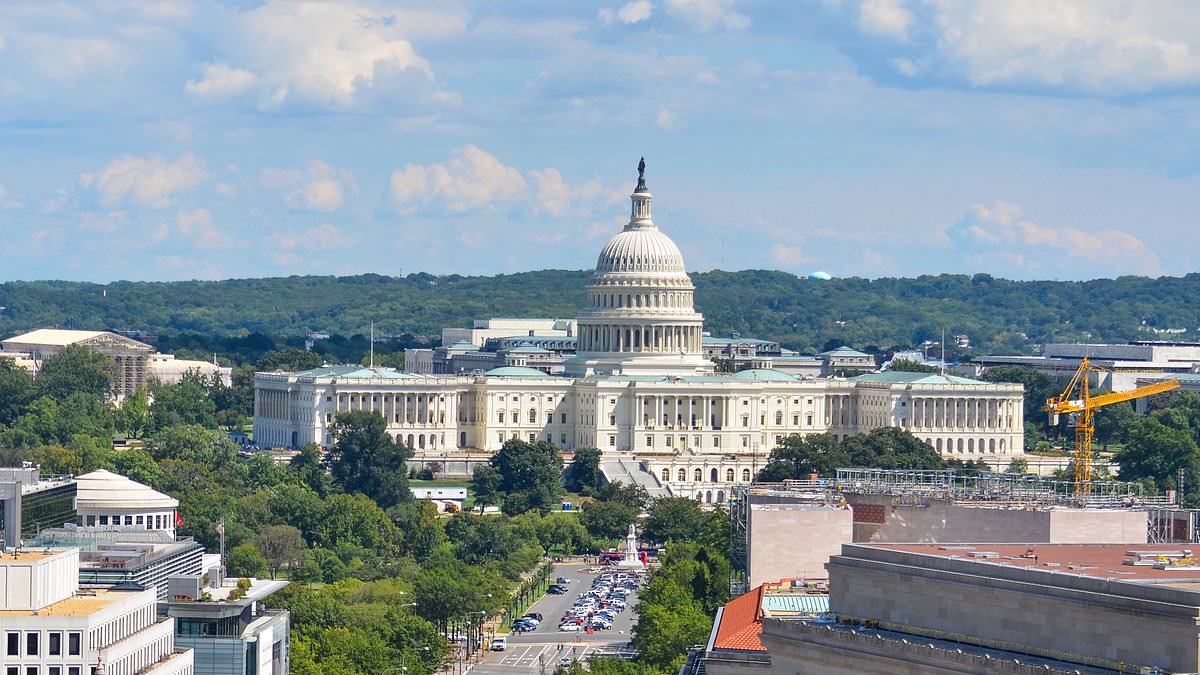 Luxury car rental for special events and business use